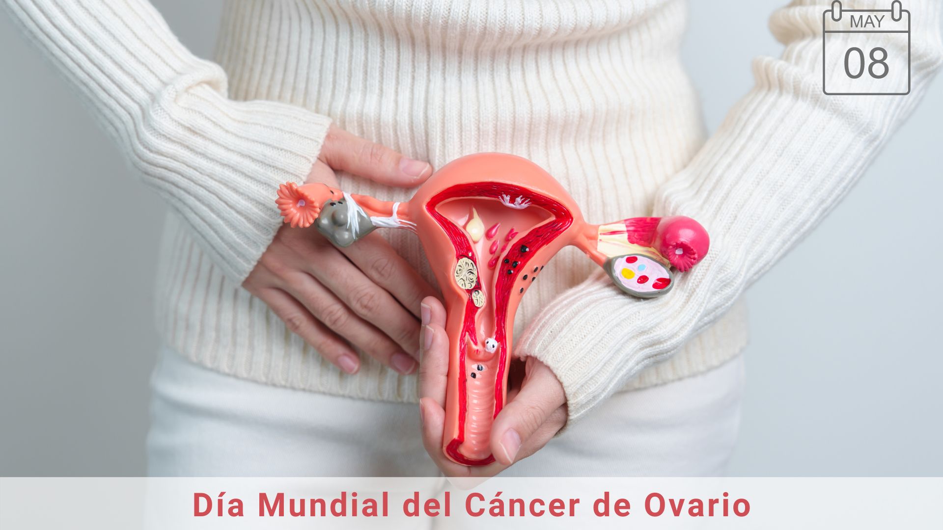8 DE MAYO: DÍA MUNDIAL CONTRA EL CÁNCER DE OVARIO